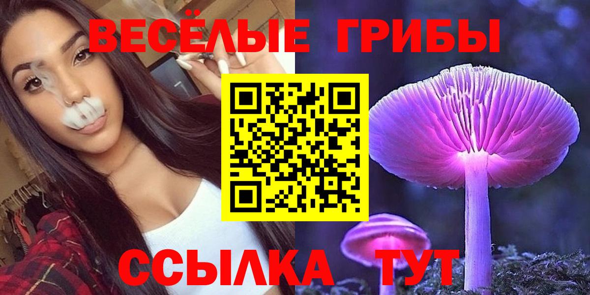 Галлюциногенные грибы MAGIC MUSHROOMS  Вход с VPN  Киров  Галлюциногенные грибы Cubensis 